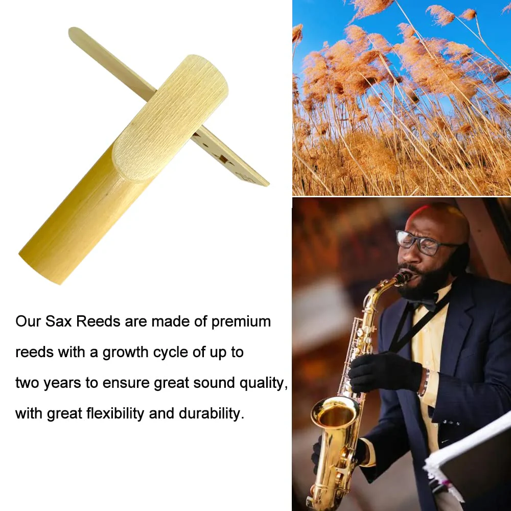 10 Pack Alto Saxophone Reeds 2.0/2.5/3.0, Alto Sax Reeds Strength 3.0 with Storage Box, Traditional Reeds for Alto Saxophone - Image 6