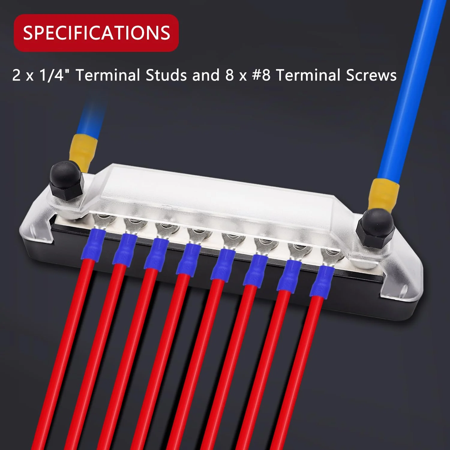12V Bus Bar Marine 2 x 1/4" (M6) Terminal Studs,8 x M4 (#8) Terminal Screws,12V Power Distribution Block with Cover and Ring Terminals, Battery Bus Bar for Car and Boat (Black+Red) Q-O-038-10-A 2 x 1/4"(M6) Studs & 8 x #8(M4) Screws - Image 3