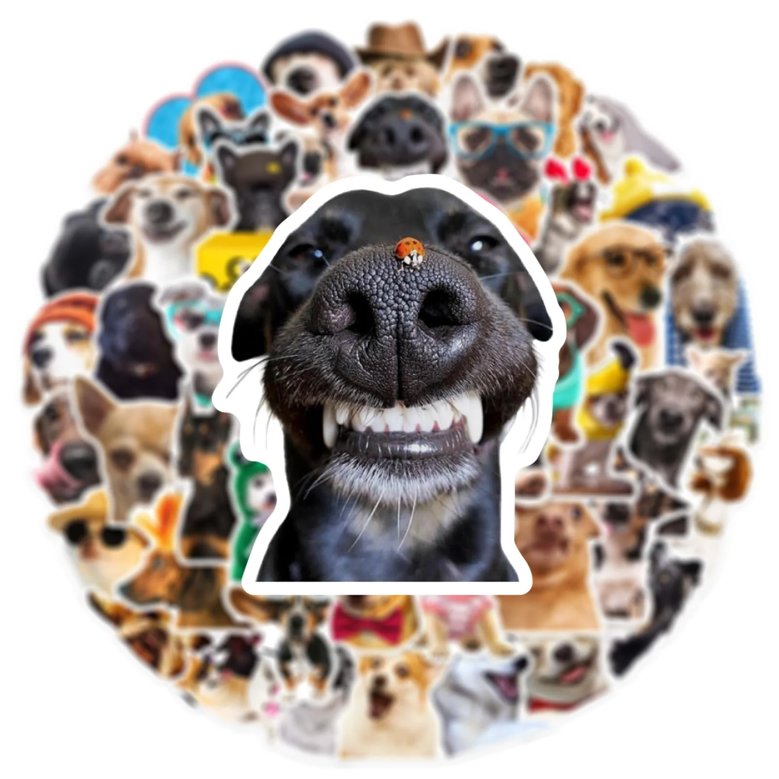 50 PCS Funny Dog Stickers Cute Animal Sticker for Journaling Laptop Scrapbook Water Bottles Guitar Suitcase Phone Snowboard Waterproof Vinyl Gifts for Women Girl Kids Adult Teens Brown - Image 3