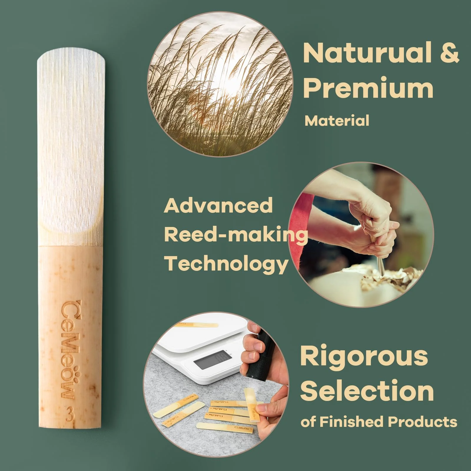Alto Saxophone Reeds 2.5, Professional Alto Sax Reeds 10Pack with Plastic Box, Thinner Reed Tip Advanced Cutting Technology for Saxophone Beginner and Player Strength 2.5 - Image 3
