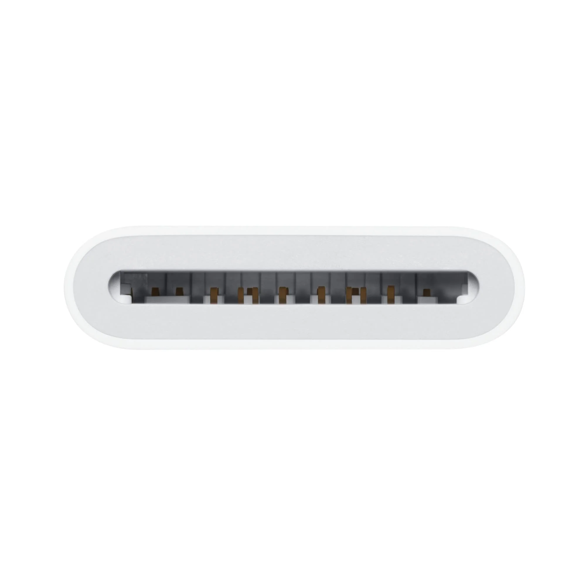 Apple USB-C to SD Card Reader - Image 2