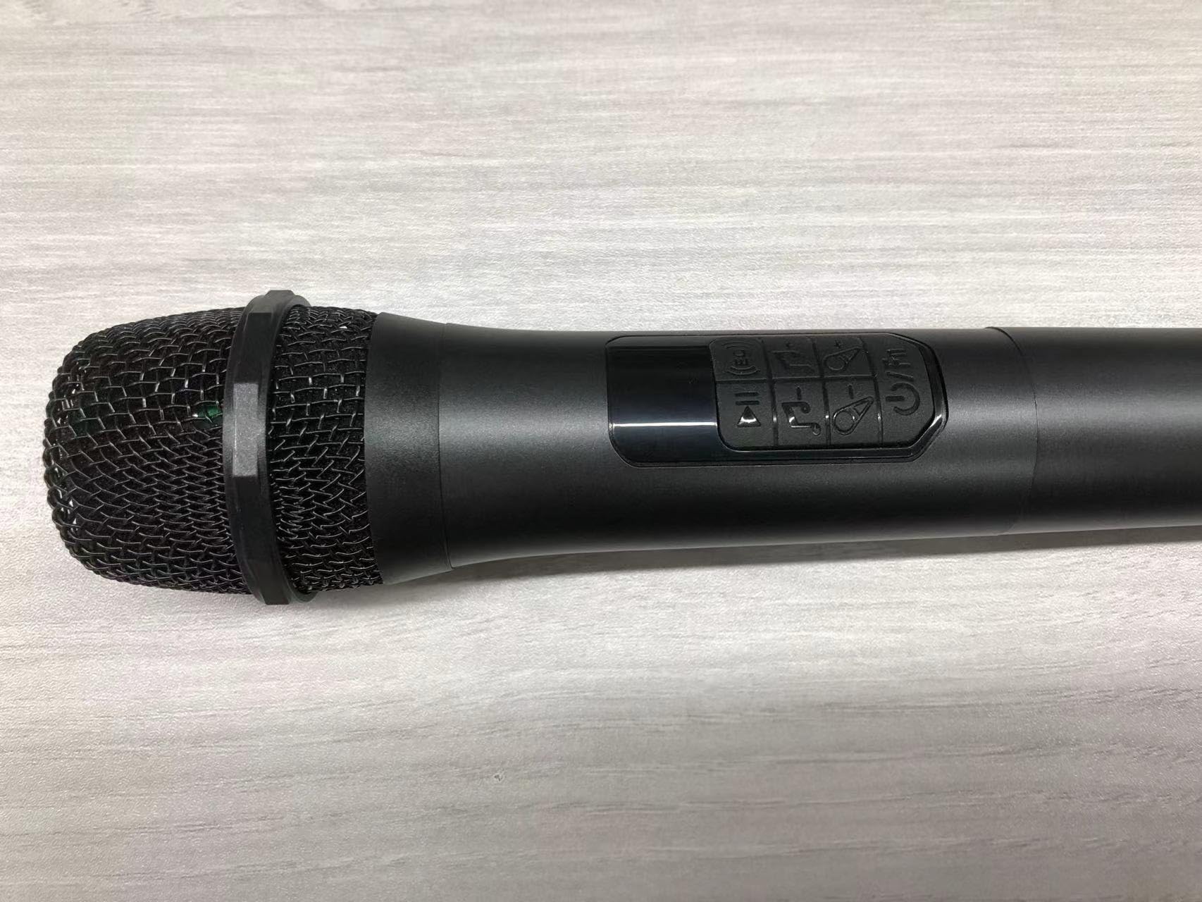 BIGASUO Microphone 2 (No Battery)
