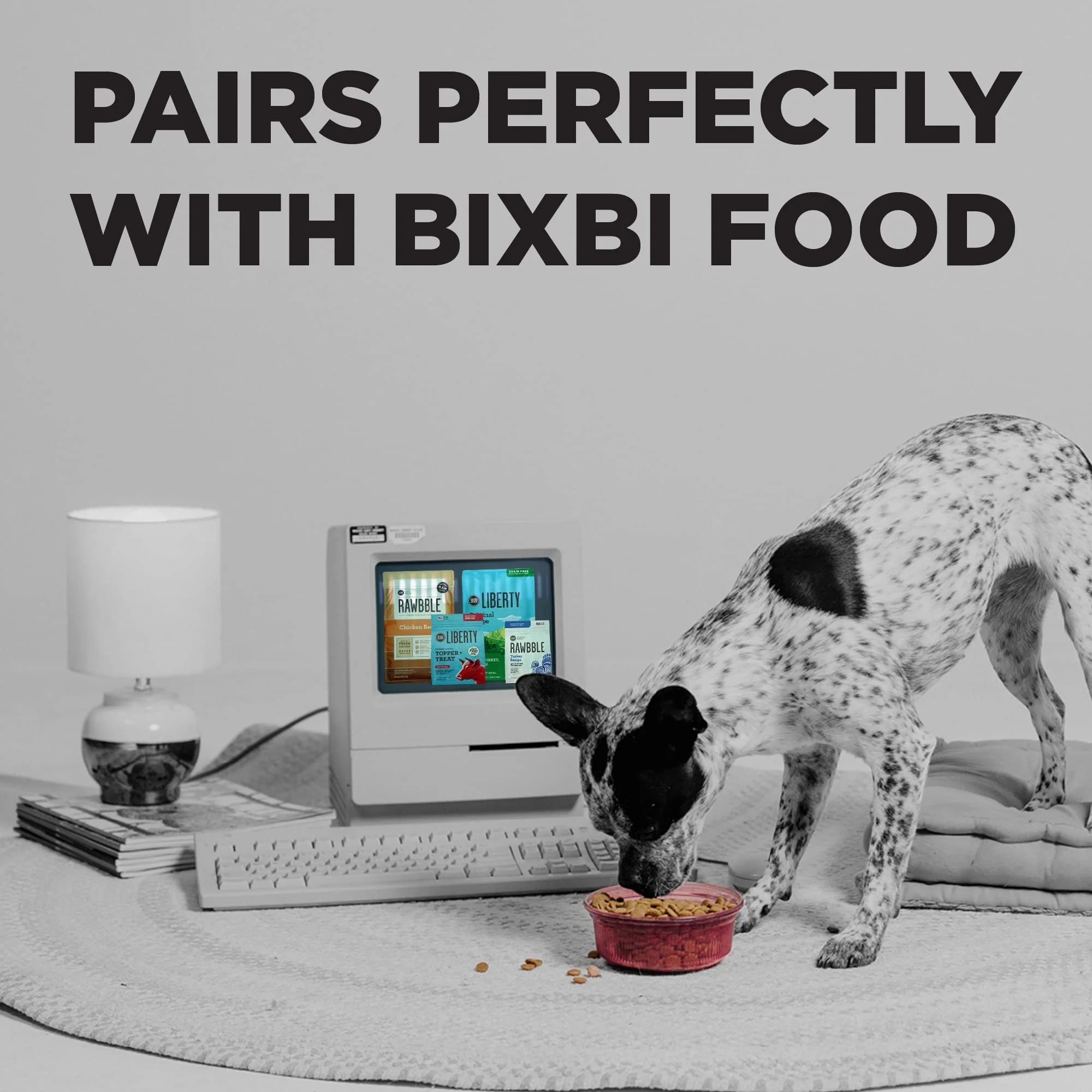 BIXBI Jerky Dog Treats, Original Beef Lung, 10 oz - USA Made Grain Free Dog Treats - High in Protein, Whole Food Nutrition, No Fillers 10 Count (Pack of 1) - Image 4