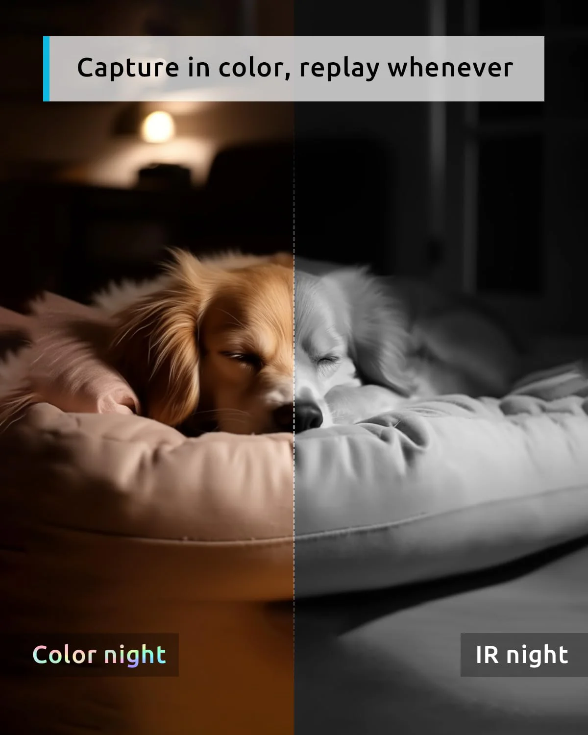blurams Pet Camera 2K, 360° Indoor Security Camera, Dog Camera with Phone App, PTZ Cameras for Home Security Indoor, 2-Way Audio, Motion Tracking, Color/IR Night Vision, Siren, Cloud&SD(2.4GHz Only) White - Image 3
