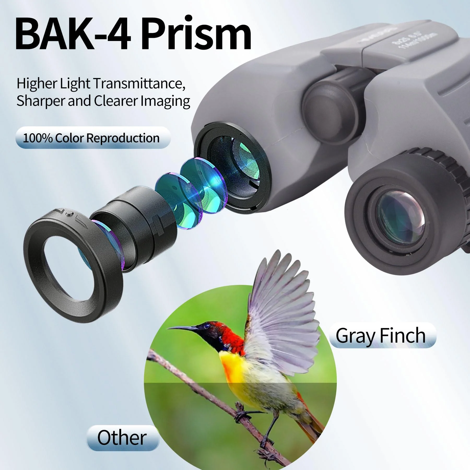 BOSMA 8x25 High-Definition Compact Binoculars, BAK4 Prism, Wide Eyepiece, Waterproof, for Birdwatching and Outdoor Adventures, 2m Close Focus, Perfect for Adults and Kids - Image 4