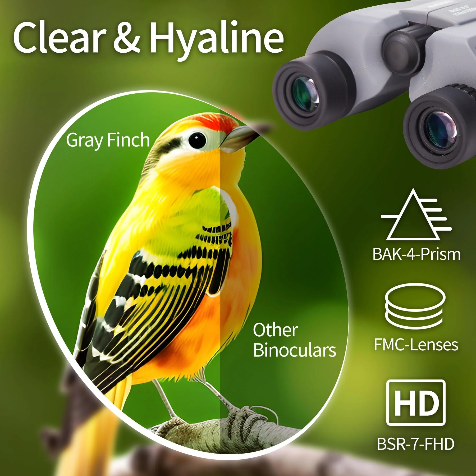 BOSMA 8x25 High-Definition Compact Binoculars, BAK4 Prism, Wide Eyepiece, Waterproof, for Birdwatching and Outdoor Adventures, 2m Close Focus, Perfect for Adults and Kids - Image 6