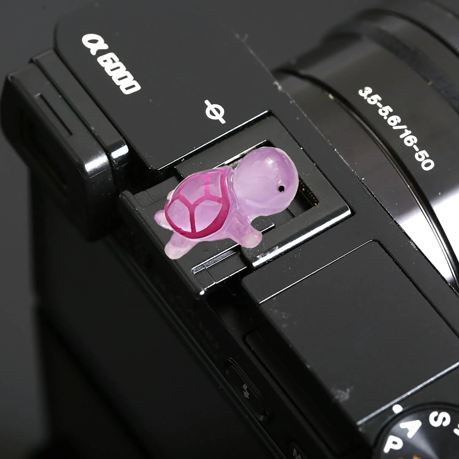 Camera Hot Shoe Cover, Cute Hot Shoe Cap, Hot Shoe Protector Compatible with Sony Fujifilm Fuji Canon Nikon Pentax Leical Panasonic (Blue & Purple Tortoise) Blue & Purple Tortoise - Image 6