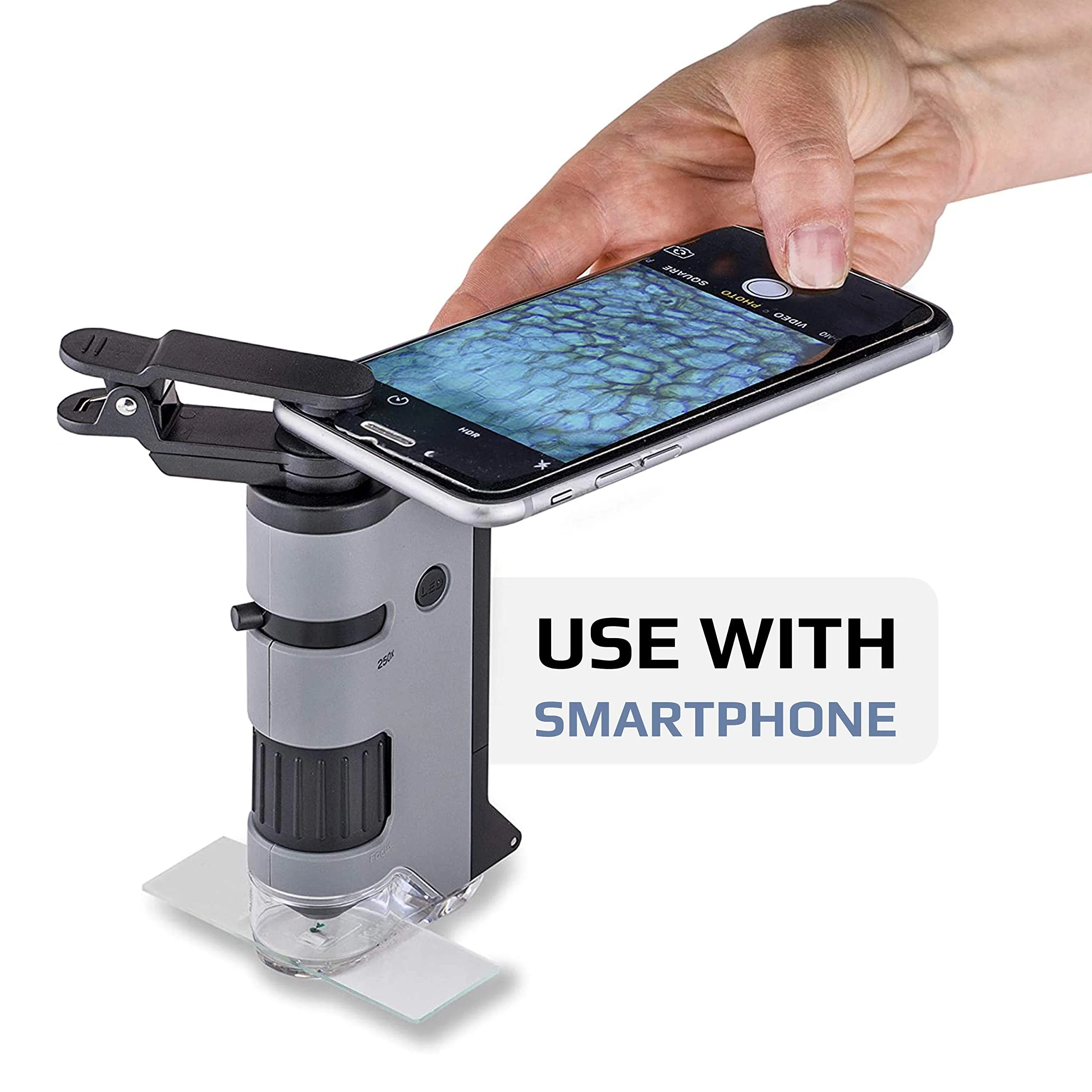 Carson MicroFlip 100x-250x LED and UV Lighted Pocket Microscope with Flip Down Slide Base and Smartphone Digiscoping Clip (MP-250) Single Pack - Image 4