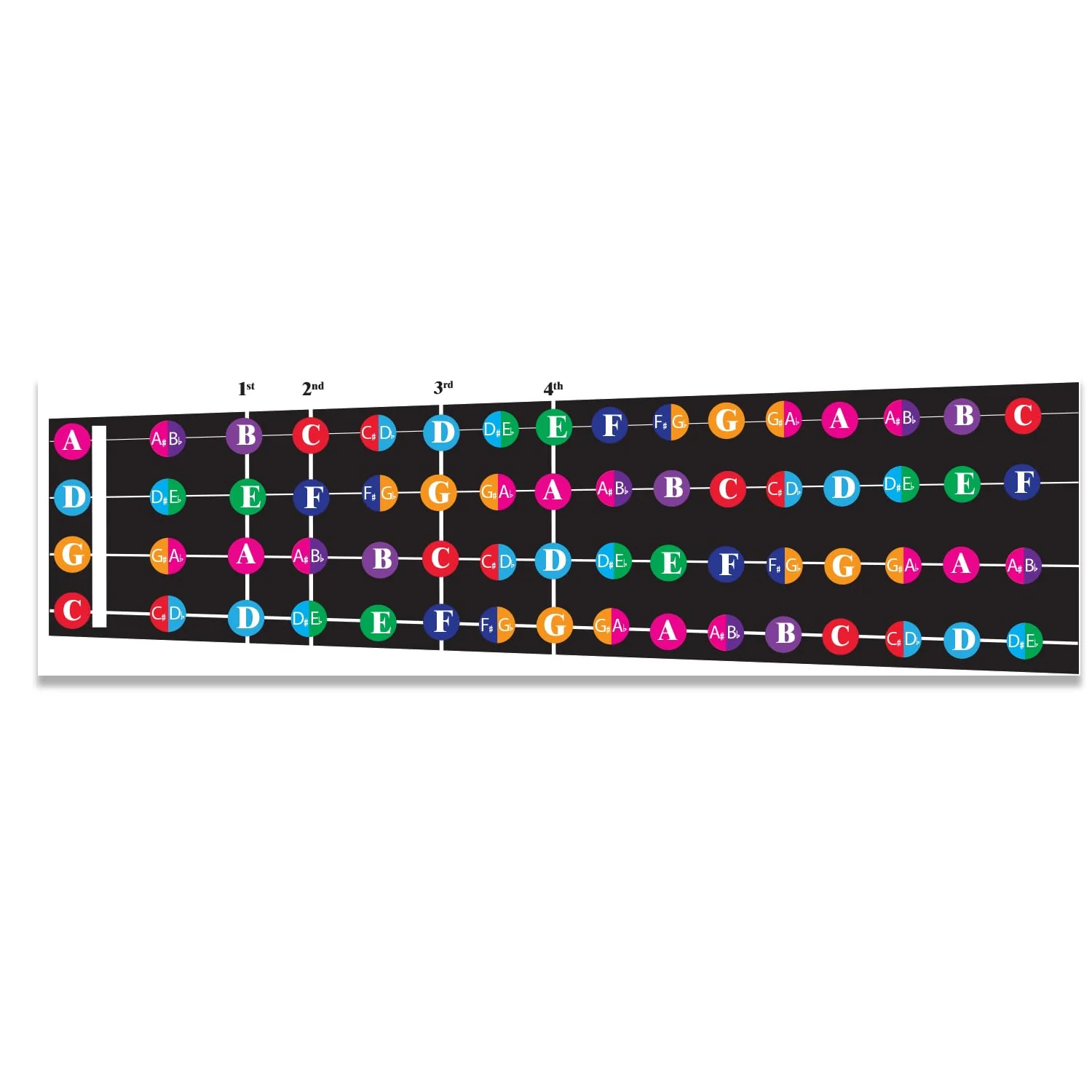 Color Coded Cello/Viola Fretboard Note Chart, Learn to Play Cello/Viola and Music Theory, Suitable for all Levels, Made in USA