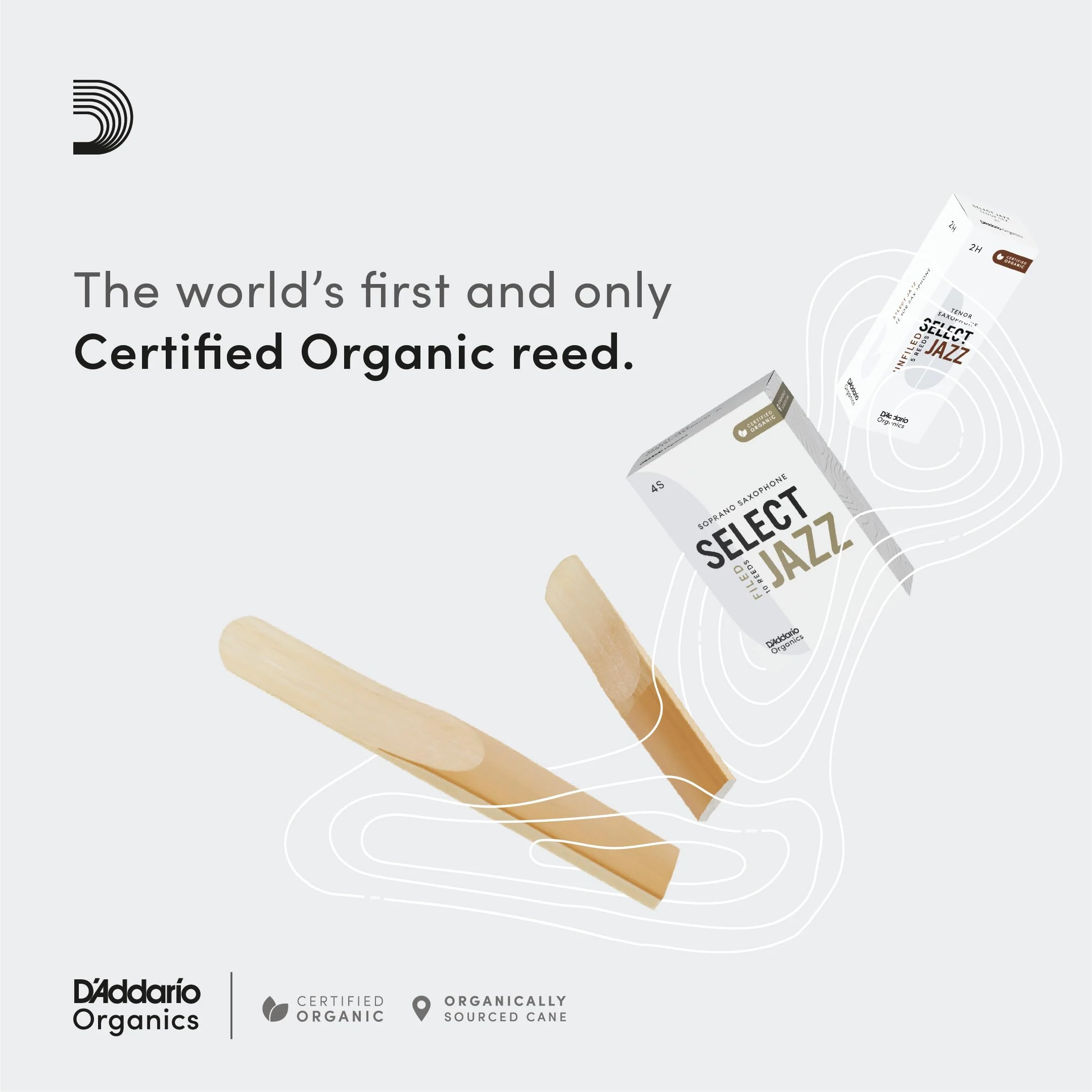 D’Addario Woodwinds - Organic Select Jazz Soprano Saxophone Reeds - Soprano Sax Reeds - Individually Sealed - Unfiled, Soft, Strength 3, 3-Pack - Image 3