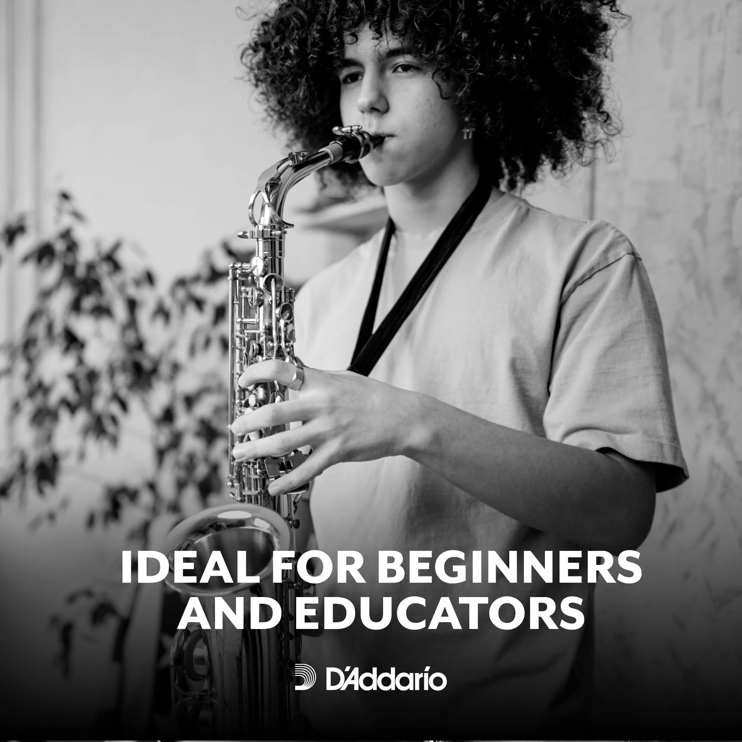 D’Addario Woodwinds - Rico Alto Sax Reeds - Reeds for Alto Saxophone - Alto Saxophone Reeds Crafted for Beginners, Students, Educators - Strength 2.0, 10-Pack - Image 3