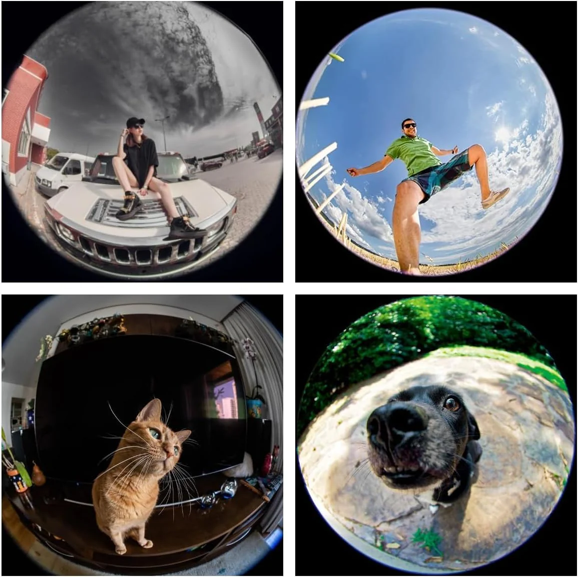 Fisheye 235°,Fish Eye Lens Universal HD Phone Fisheye Lens, Phone Camera Lens, for iPhone 7 8 x xr 11 12 13 14 15 pro max Android Samsung Smartphones (fisheye) - Image 5