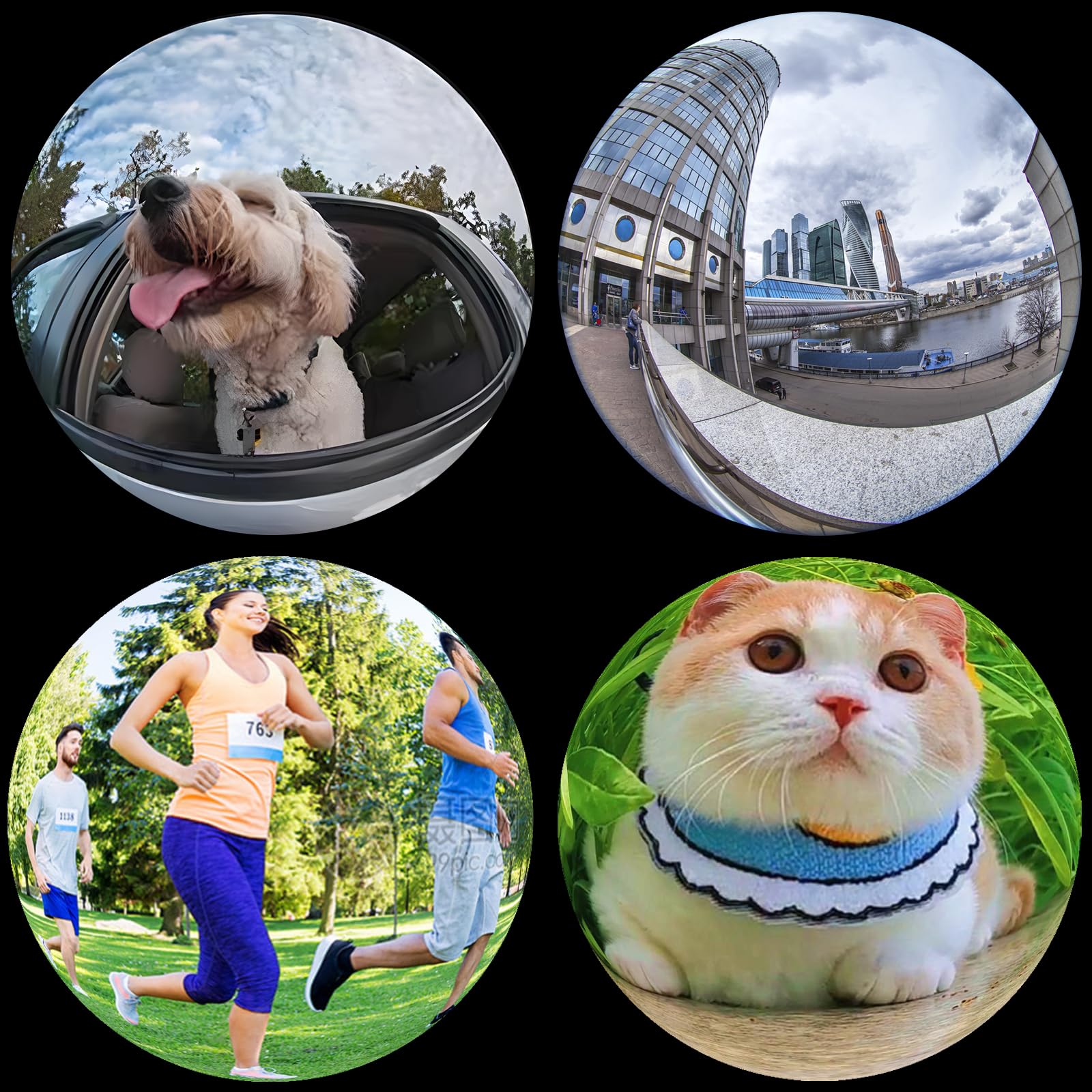 Fisheye Lens 235° Phone Camera Lens, Fish Eye Lens for iPhone 14 13 12 X XR Pixel Samsung Smartphone,Clip on Cell Phone，Funny Photos Fisheye-Blue - Image 3