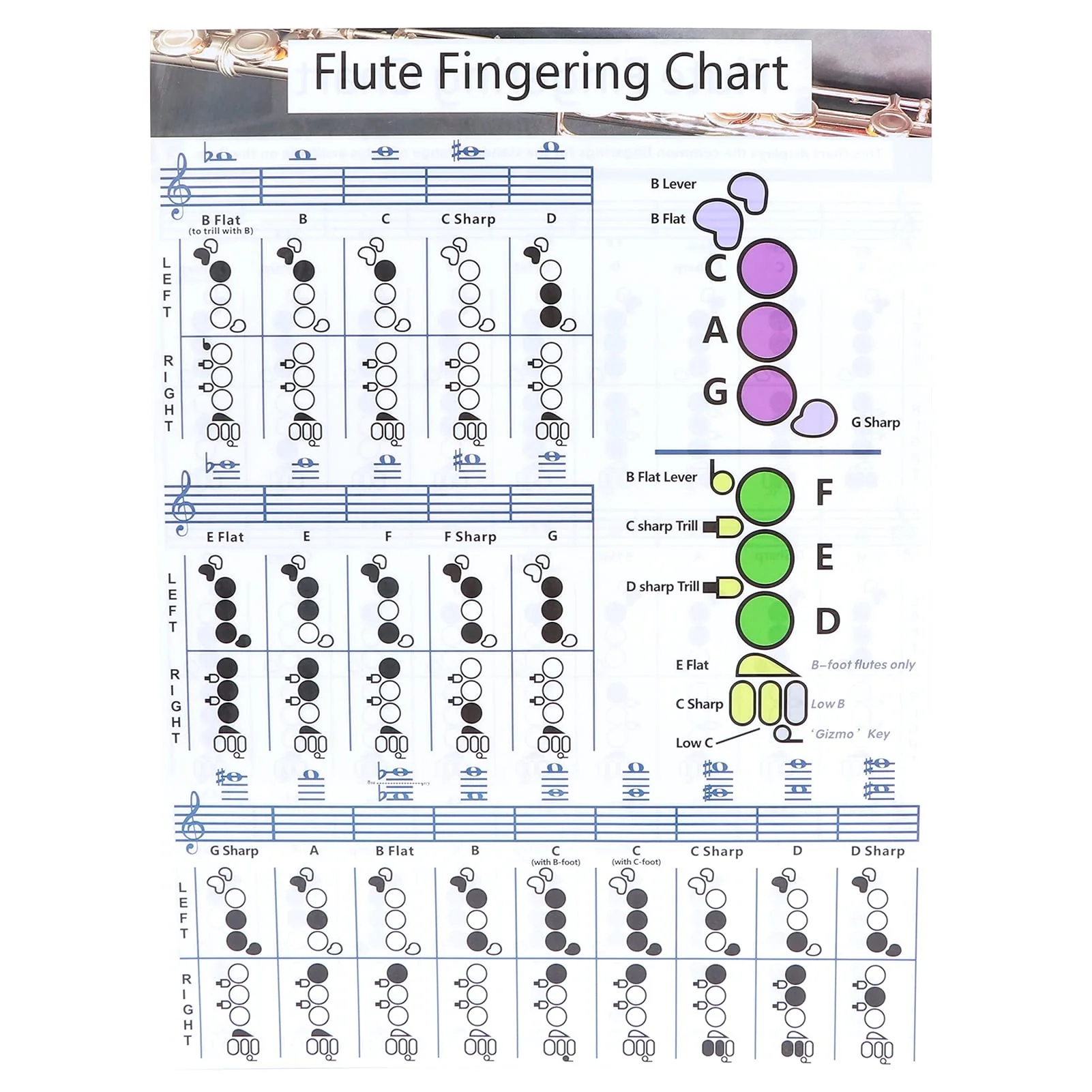 Flute Chord Chart, Easy-to-understand Flute Fingering Practice Chart Standard White with Coated Paper for Practice Teaching Aids Instrument for Flute Students(Flute Fingering Table Small (28*21cm)) Flute Fingering Table Small (28*21cm)
