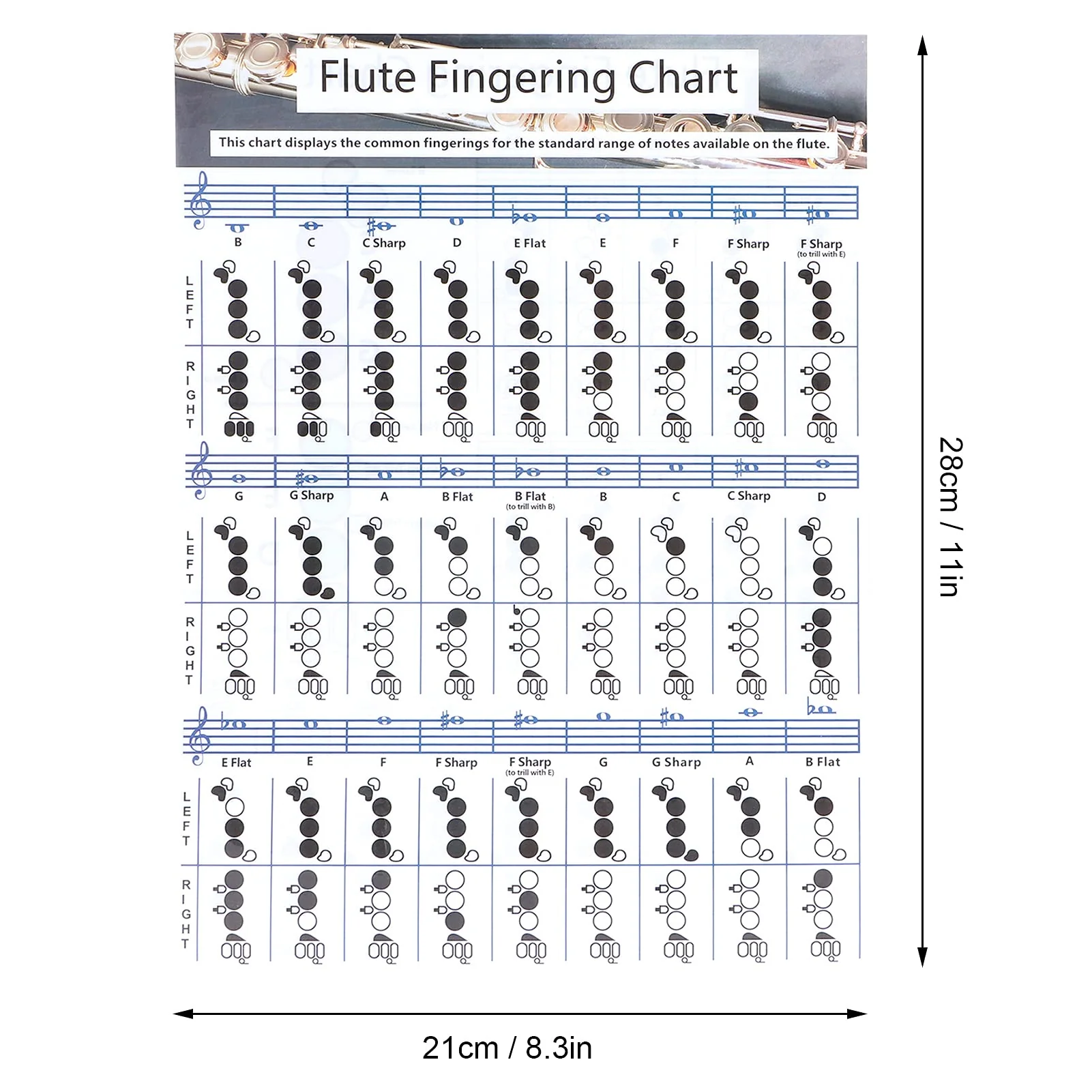Flute Chord Chart, Easy-to-understand Flute Fingering Practice Chart Standard White with Coated Paper for Practice Teaching Aids Instrument for Flute Students(Flute Fingering Table Small (28*21cm)) Flute Fingering Table Small (28*21cm) - Image 8