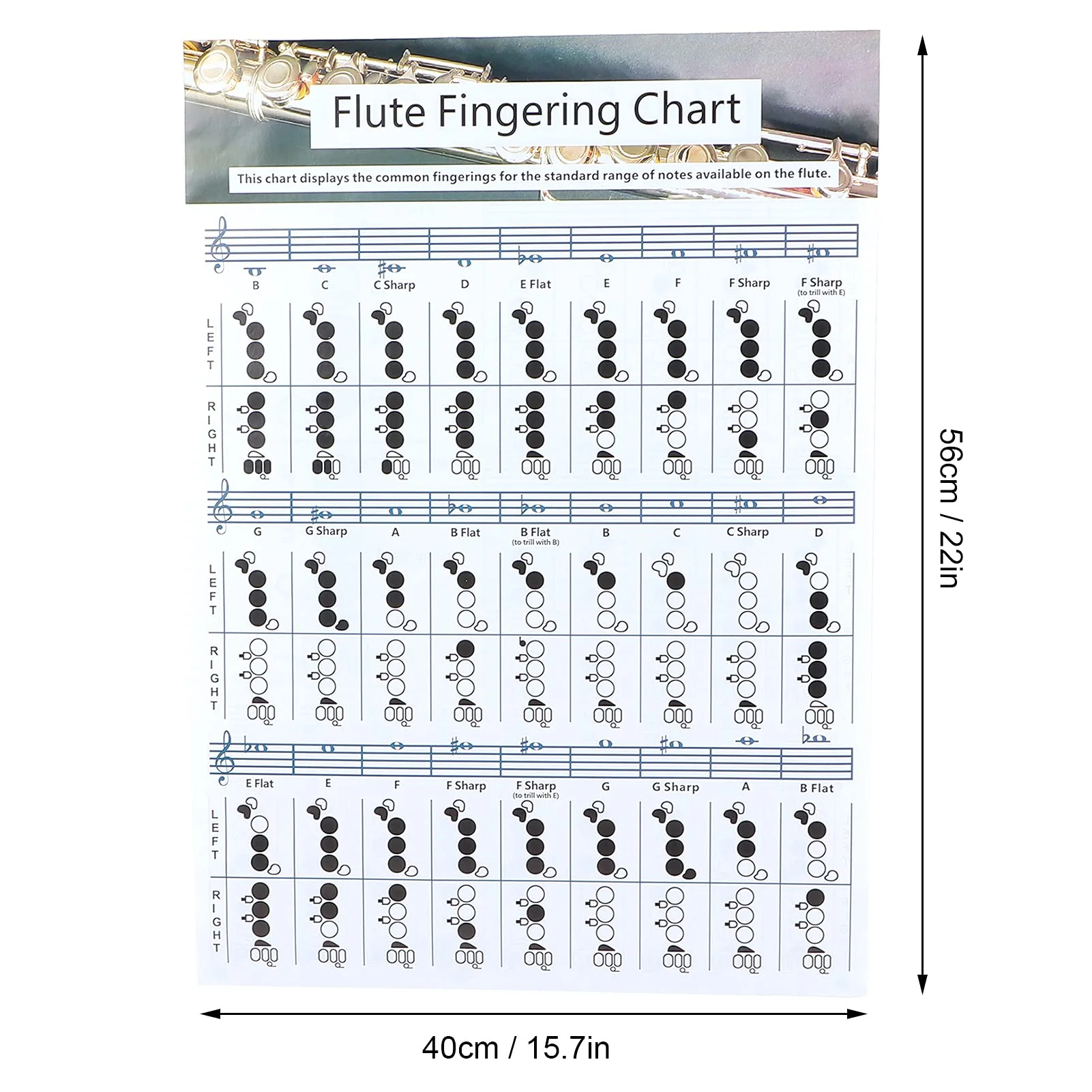 Flute Fingering Chart, Smooth White Good Inking Performance Standard Practice Chart for Students Teaching Aids Instrument(Flute Table Large (5640cm)) Ruiningxdaue3bg4y7084-11 - Image 4
