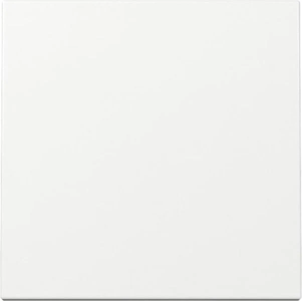 Gira 329603 Rocker Switch Pure White Glossy
