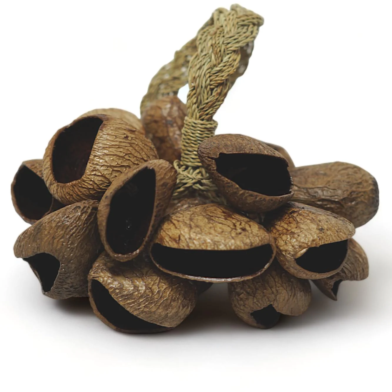 GMP Pangi Seed Shell Shaker/Nutshell Percussion Sound Effect, Comes with Rope Handle/Bamboo Handle, Authentic Traditional Rattle (Natural) Rope-Handle