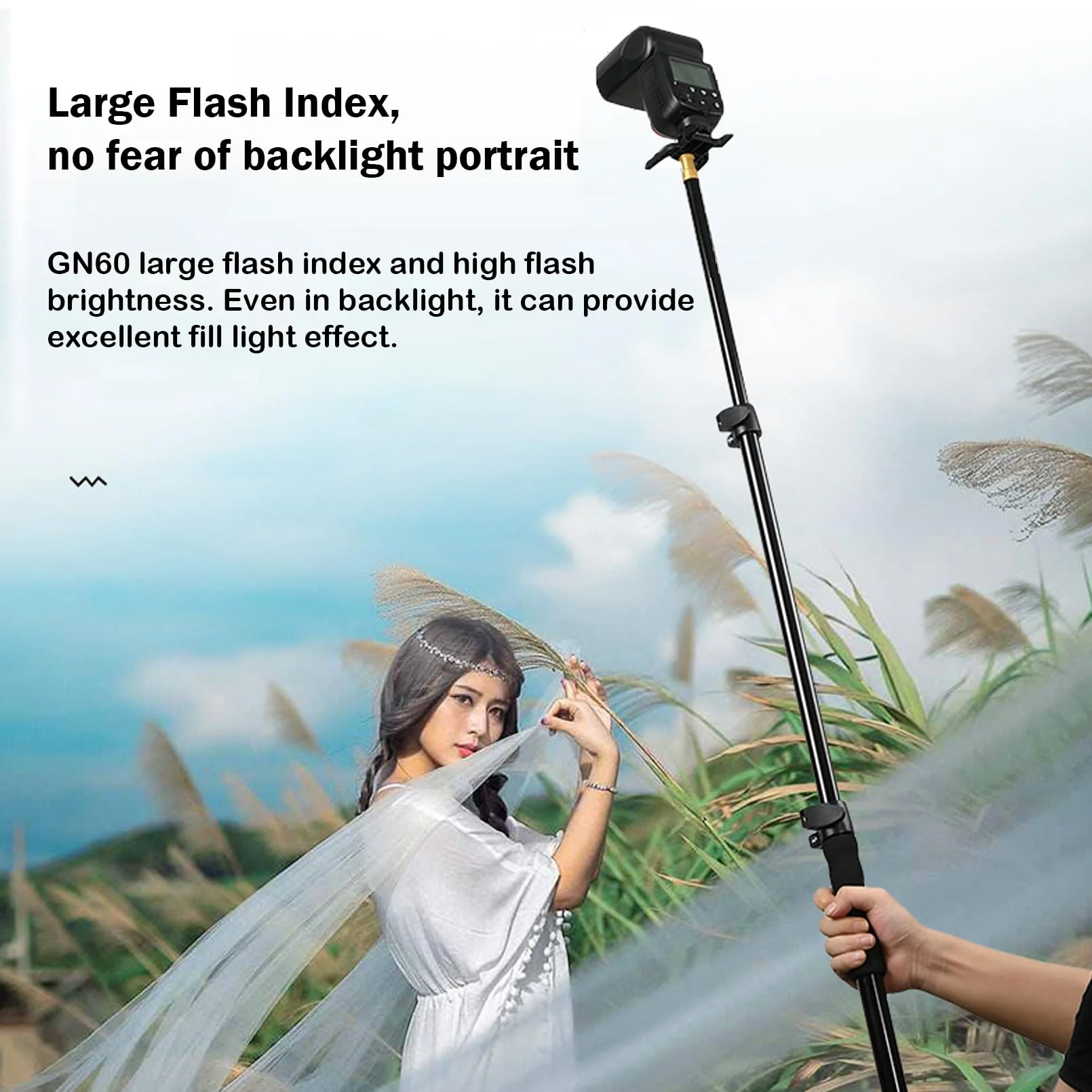 Godox TT600 2.4G Wireless Flash Speedlite Master/Slave Flash with Built-in Trigger System Compatible for Canon Nikon Pentax Olympus Fujifilm Panasonic (TT600) - Image 4