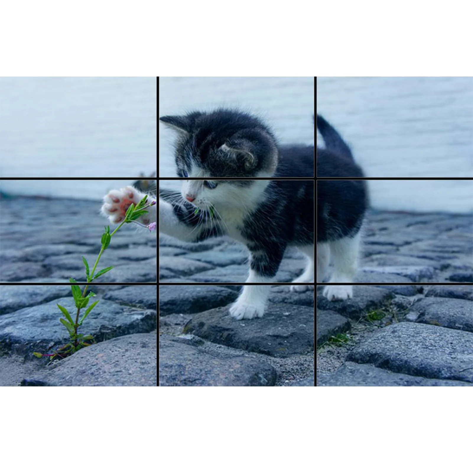 Golden Ratio, Fibonacci & Rule of Thirds Composition Tool Credit Card-Sized View Finder/Viewer for Photography, Painting, Drawing - Fits in Wallet or Camera Bag - Image 4