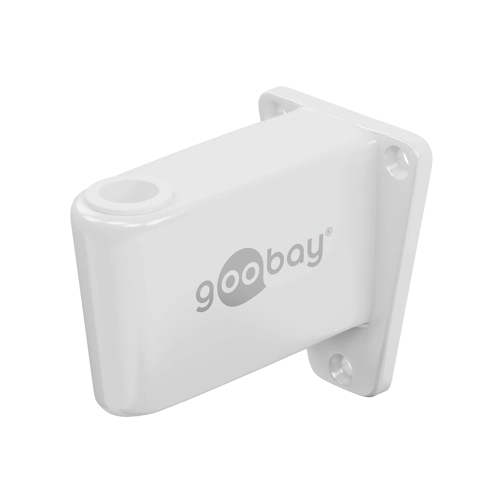 Goobay 55771 Wall Mount for Magnifying Lamp