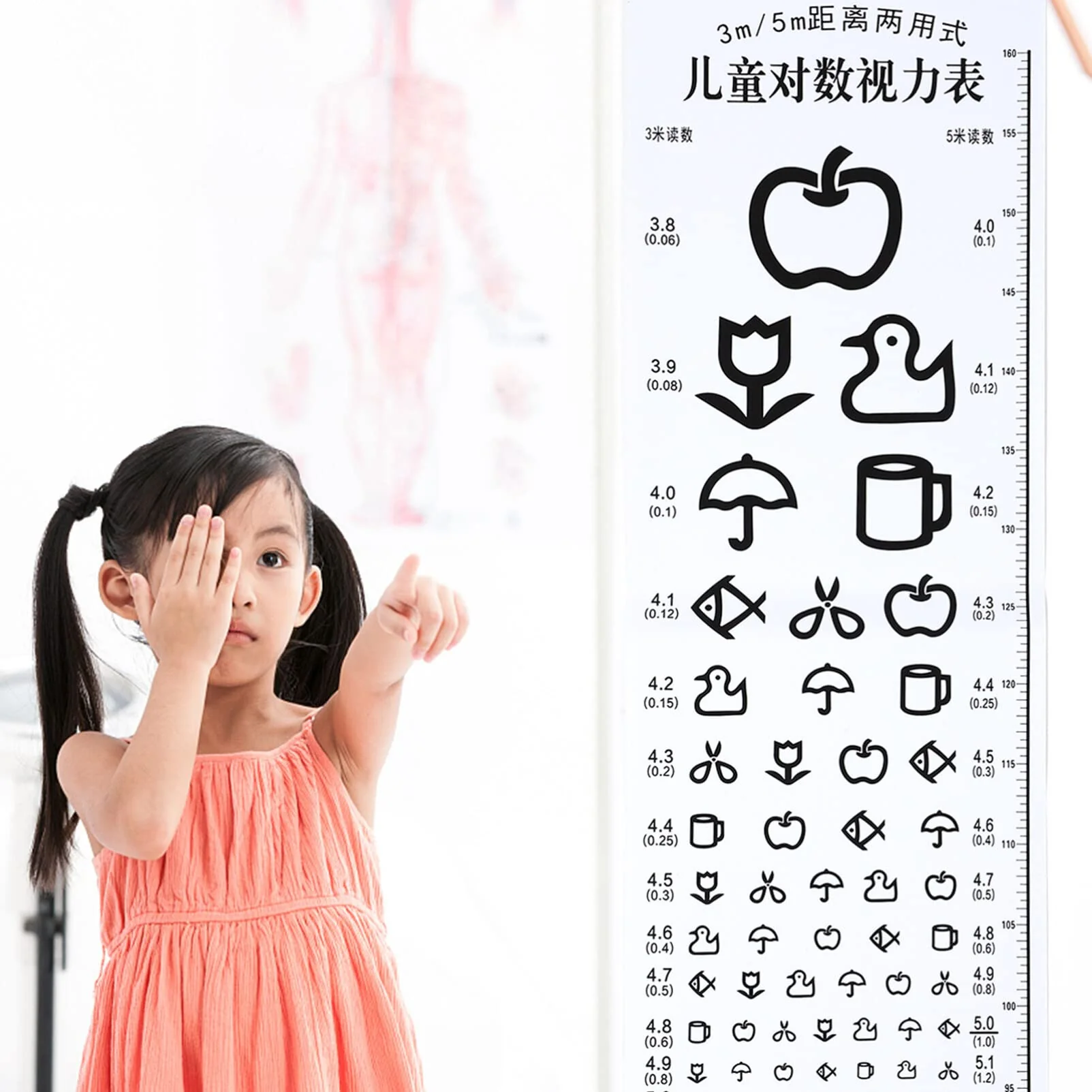 Mipcase TV Board Vision Test for Children: Vision Test Board Cartoon Vision Board Children's Vision Chart Visual Sharpness Board Wall Chart for Home Clinic Eye School Vision Test Chart - Image 7