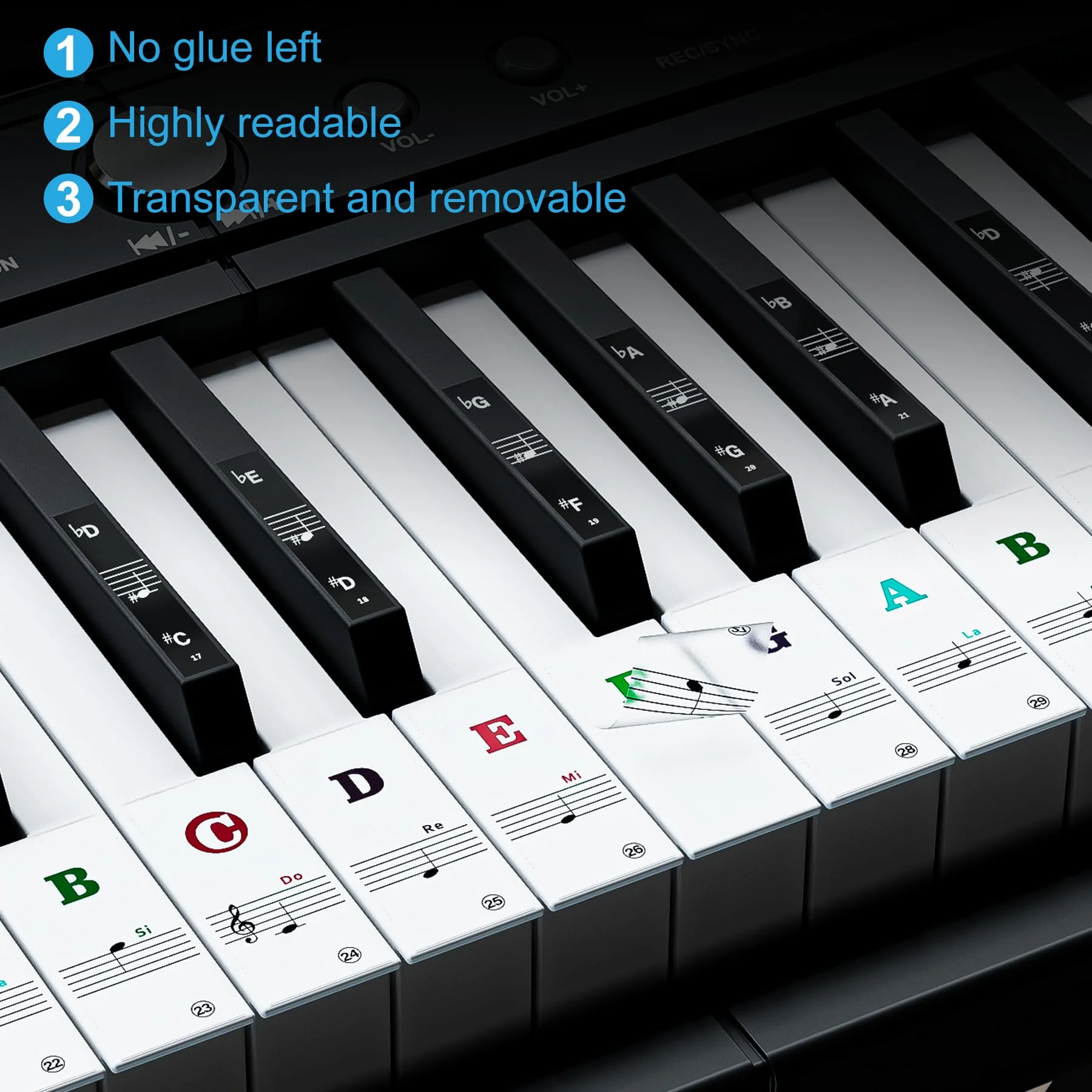 Piano Keyboard Stickers for 88/61/54/49/37 Key, Bold Large Letter Piano Stickers for Learning, Removable Piano Note Sticker Letters, Notes Label for Beginners and Kids, Multicolor - Image 3