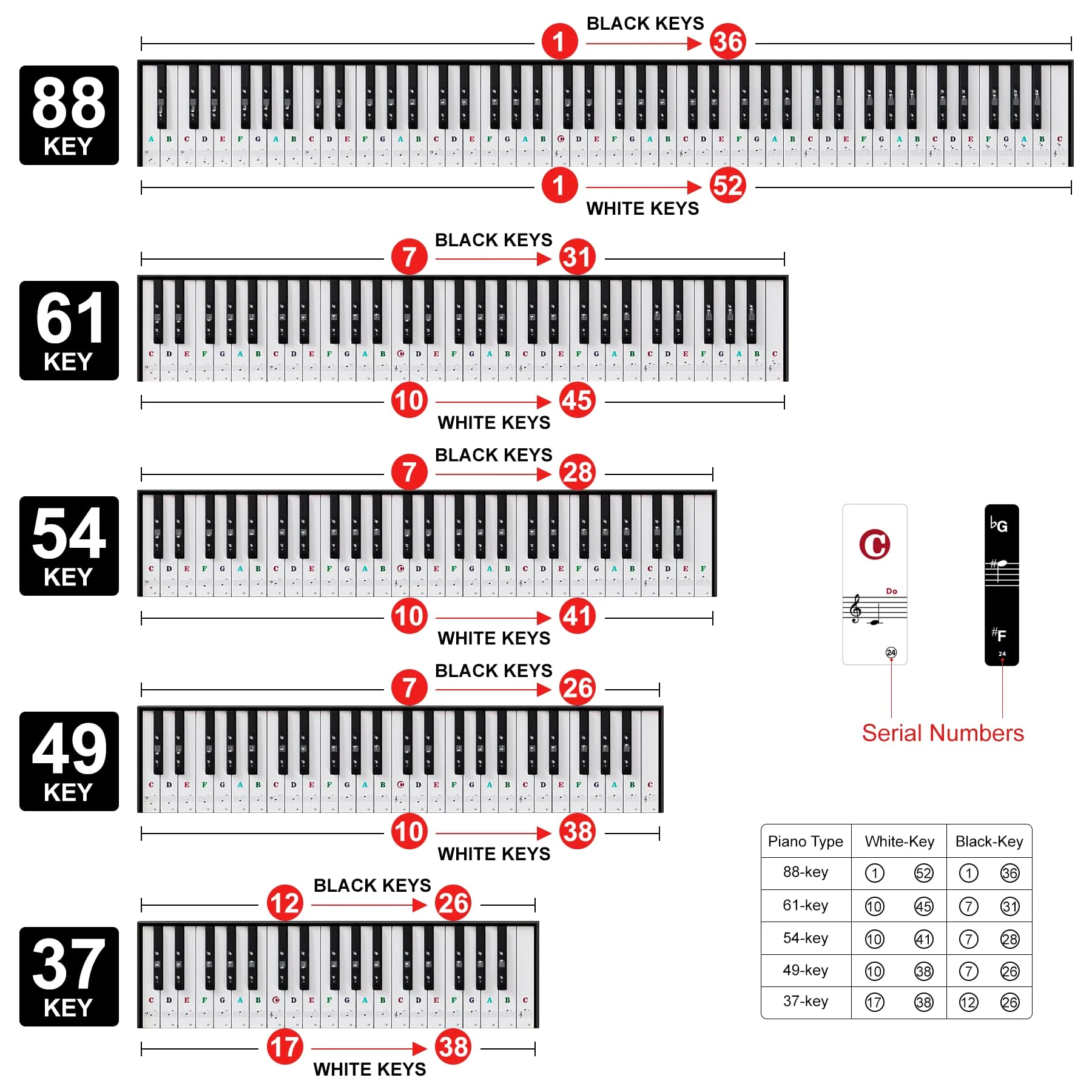Piano Keyboard Stickers for 88/61/54/49/37 Key, Bold Large Letter Piano Stickers for Learning, Removable Piano Note Sticker Letters, Notes Label for Beginners and Kids, Multicolor - Image 4