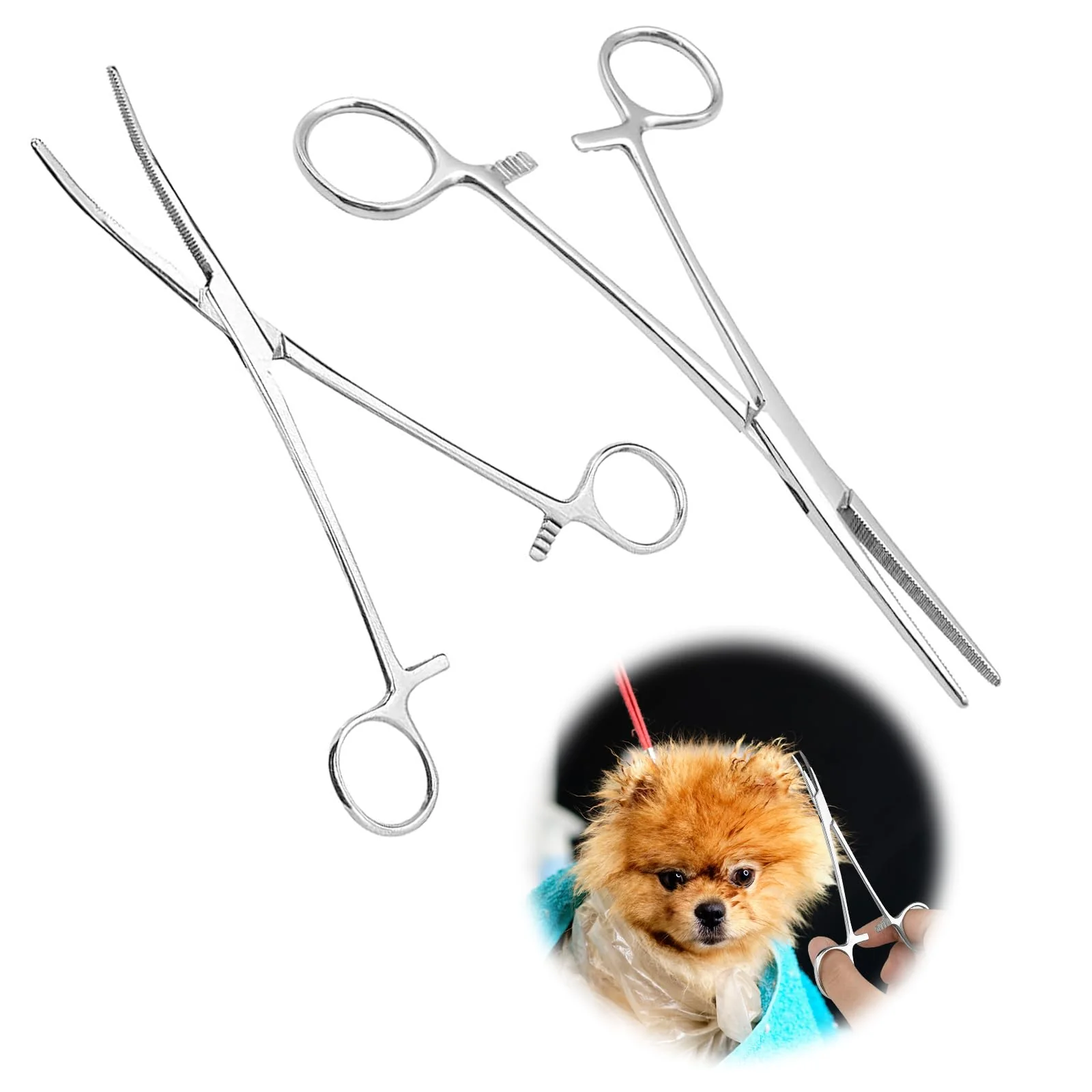 Piercing Pliers, 12.5 cm Clamping Pliers Piercing Pliers for Opening, Clamp Nurse, Straight and Curved Heads, Cat and Dog Hair Tweezers, Screw Clamp Sawtooth Design Non-Slip Pack of 2