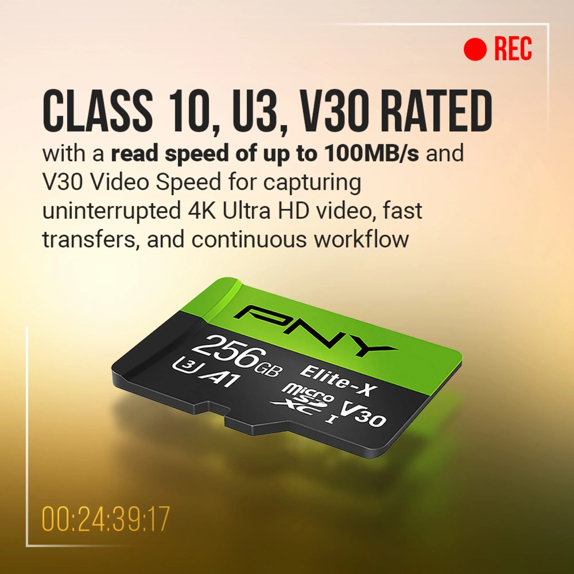PNY 256GB Elite-X microSDXC UHS-I Memory Card - 100MB/s, U3, V30, A1, 4K, Full HD, micro SD - Image 3