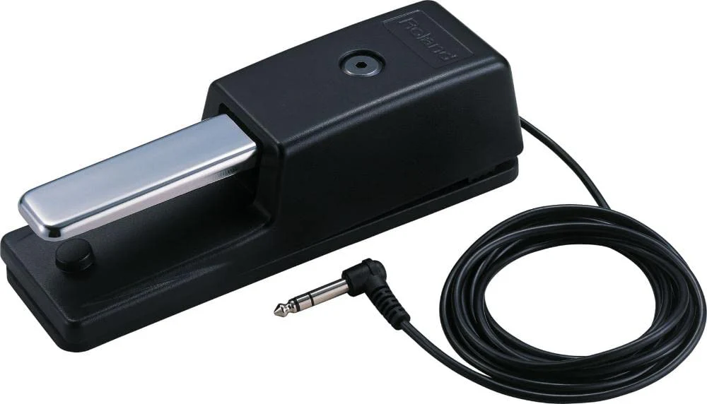 Roland danpa-pedaru DP – 10