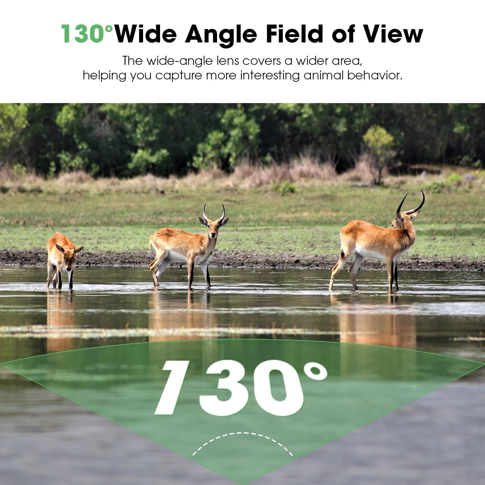 Trail Camera: with Night Vision 4K 48MP 130°Wide-Angle Game Camera,0.05s Trigger Motion Activated Hunting Camera ,98ft IR Sensing ,IP66 Waterproof,for Outdoor Wildlife Surveillance & Home Security - Image 6