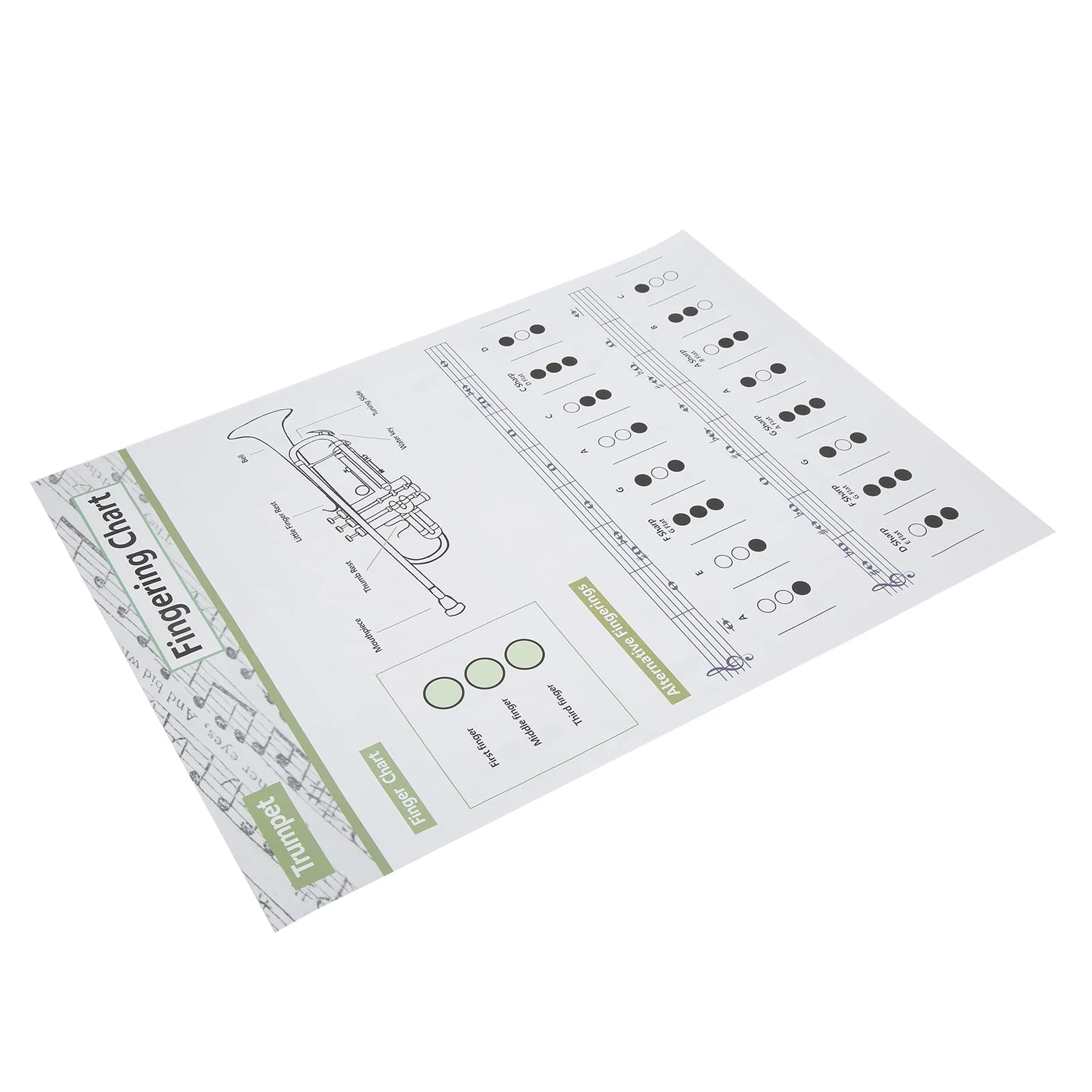 Trumpets Note Guide, Trumpet Chart Art Paper Scale Poster Clear for Home(Trumpet Chord Chart (Large Size)) - Image 4