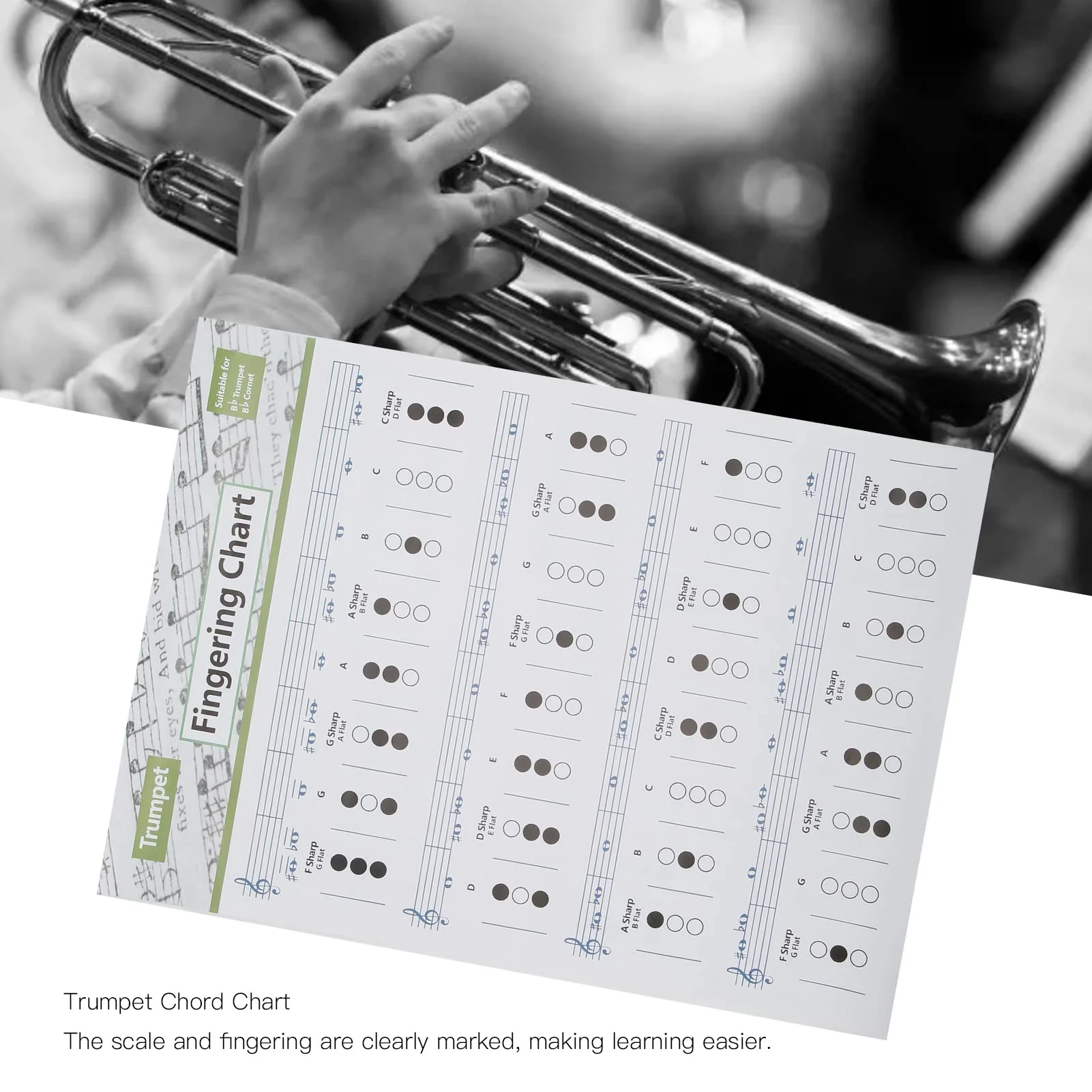 Trumpets Note Guide, Trumpet Chart Art Paper Scale Poster Clear for Home(Trumpet Chord Chart (Large Size)) - Image 5