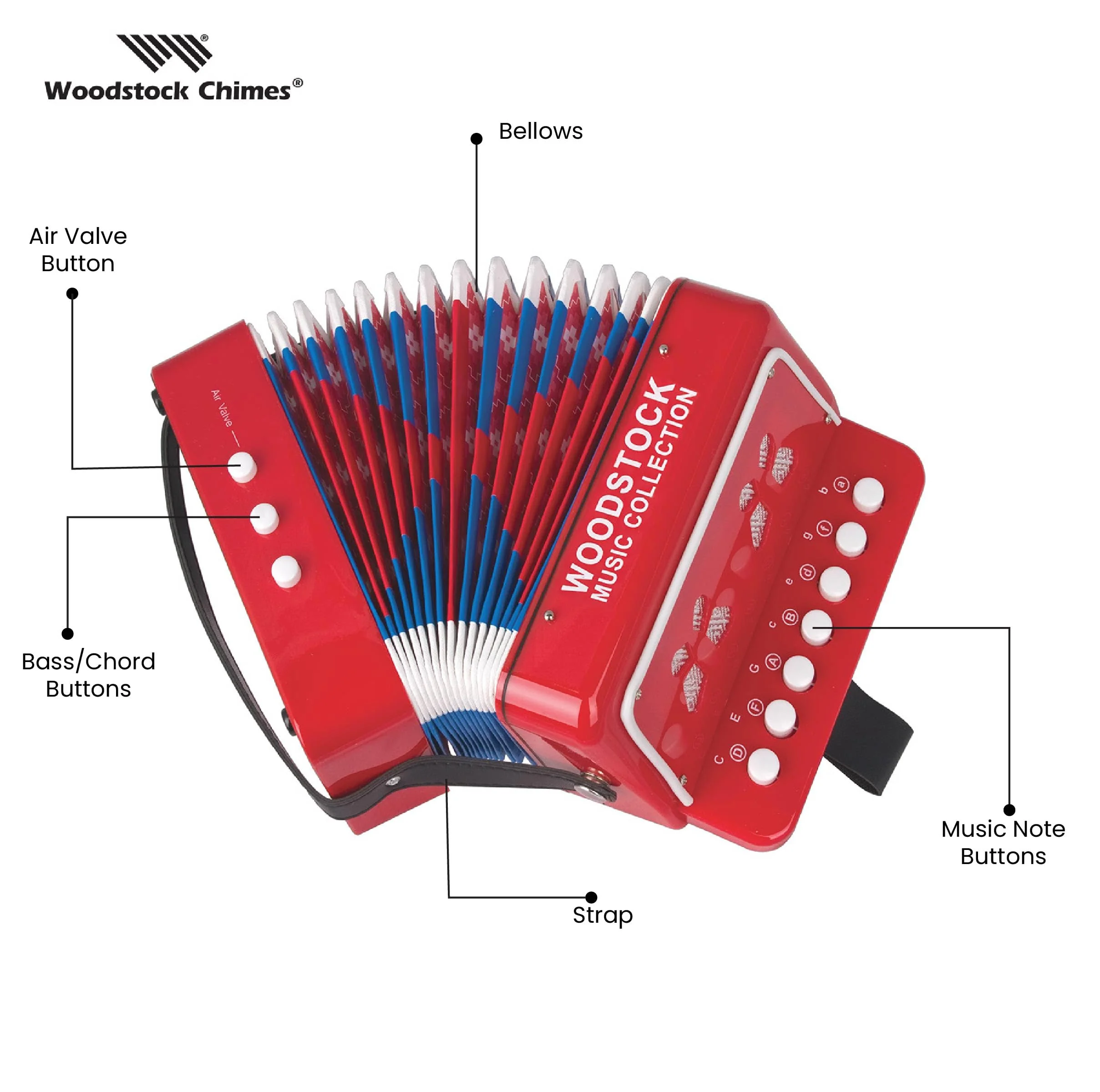 Woodstock Kid's Accordion (7"), Red, with 10 Keys, Beginner Music Toy Instrument for Children Ages 3+, Educational Gift, Toddlers Kids Boys Girls WCKA Kids 7 - Image 6
